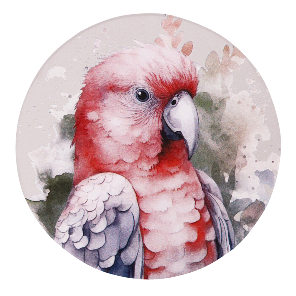 Splosh - Native Blooms Galah Ceramic Coaster
