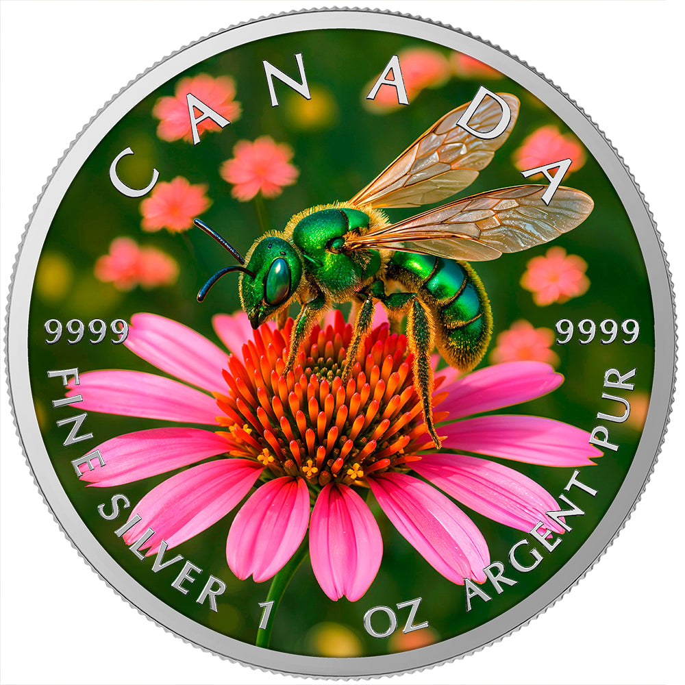 Nature in Miniature: The 2026 Canadian Sweat Bee Silver Coin