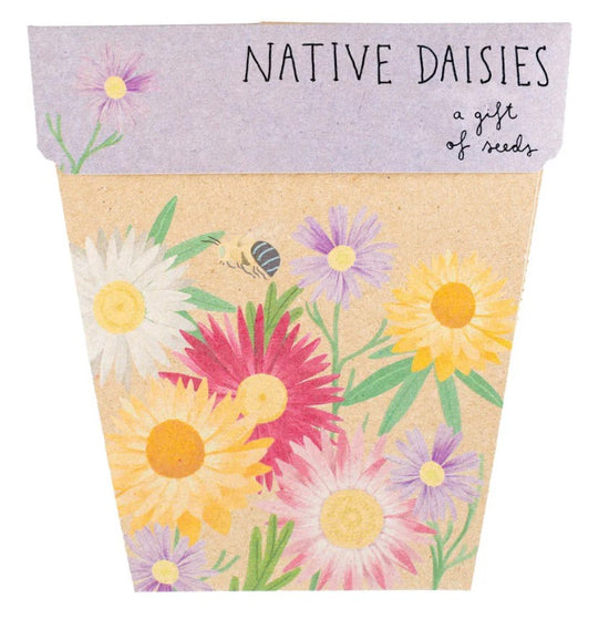 Sow N Sow Gift Of Seeds - Native Daisies