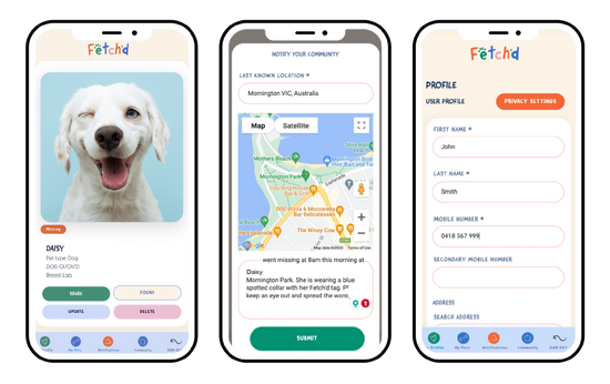 Fetch'd Pawsport Smart Qr Dog Tag