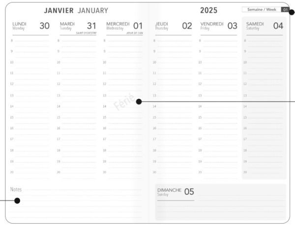 2025 Weekly Diary - Aquarupella Peacock