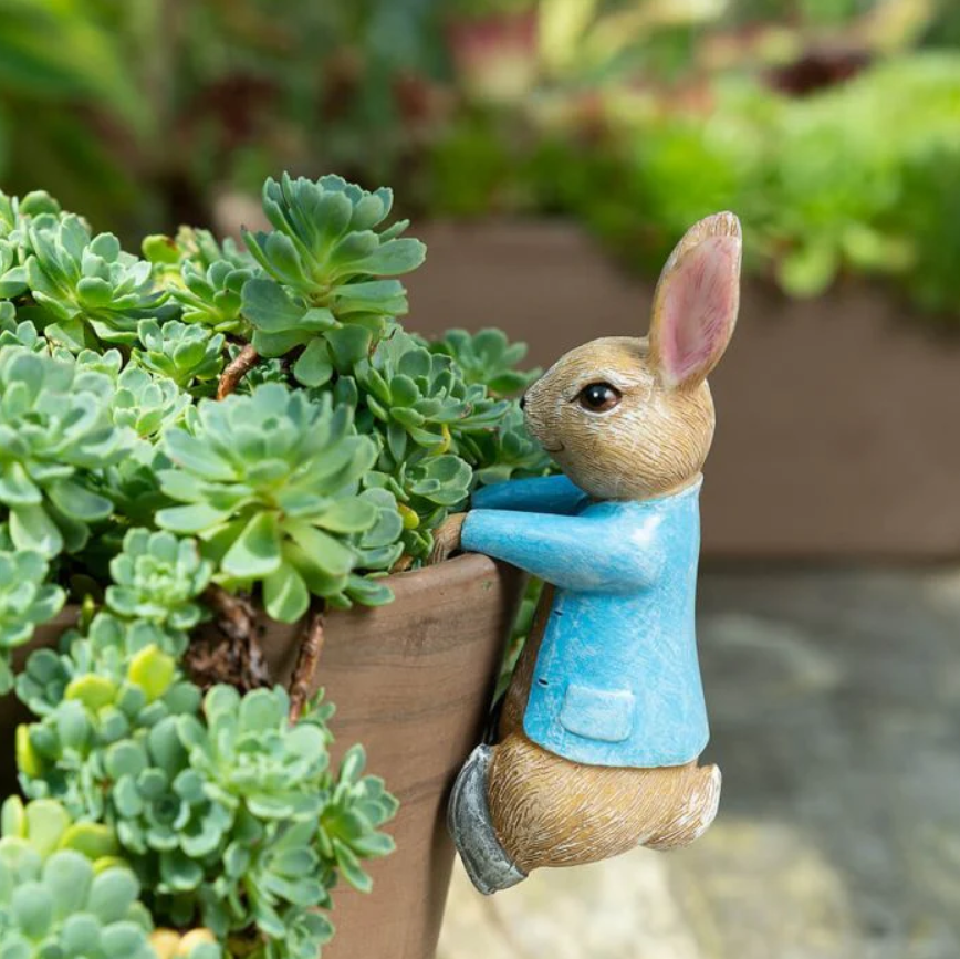 Pot Buddies Peter Rabbit Hanging onto Pot