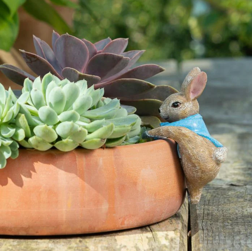Pot Buddies Peter Rabbit Climbing into Pot