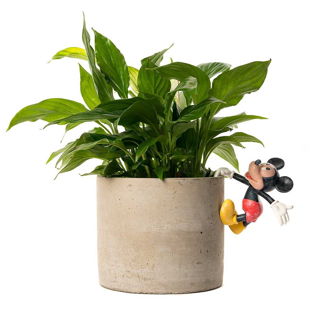 Disney - Pot Buddies Mickey Mouse 
