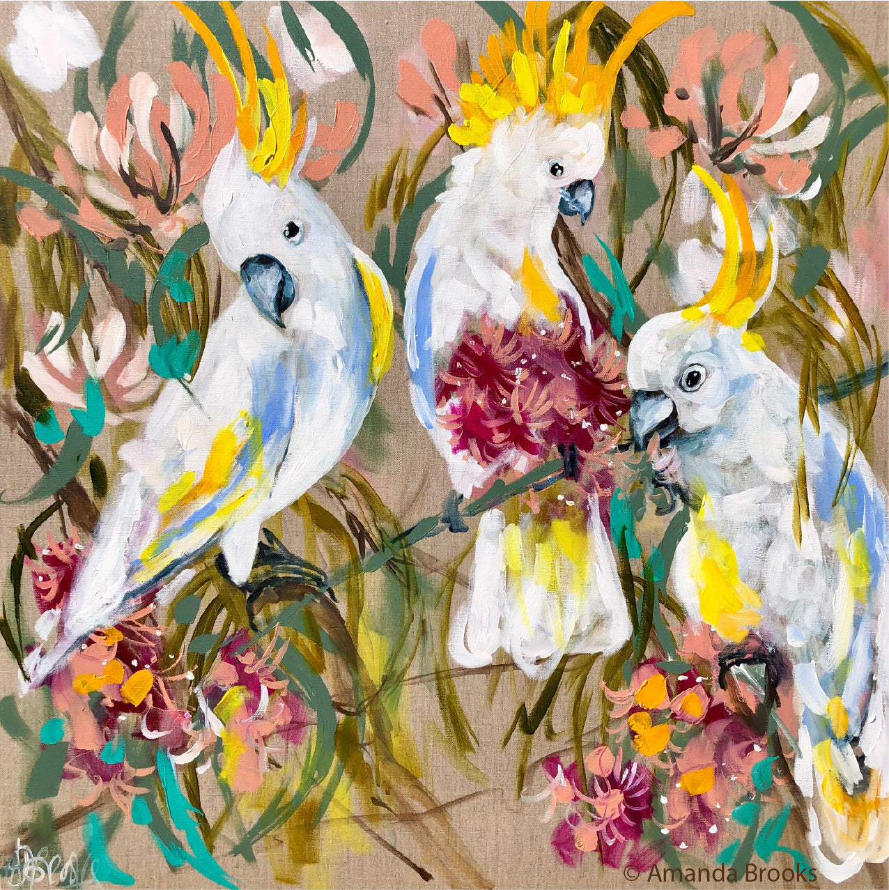 Lilli Rock - Coaster Cockatoo & Gum Set Of 4