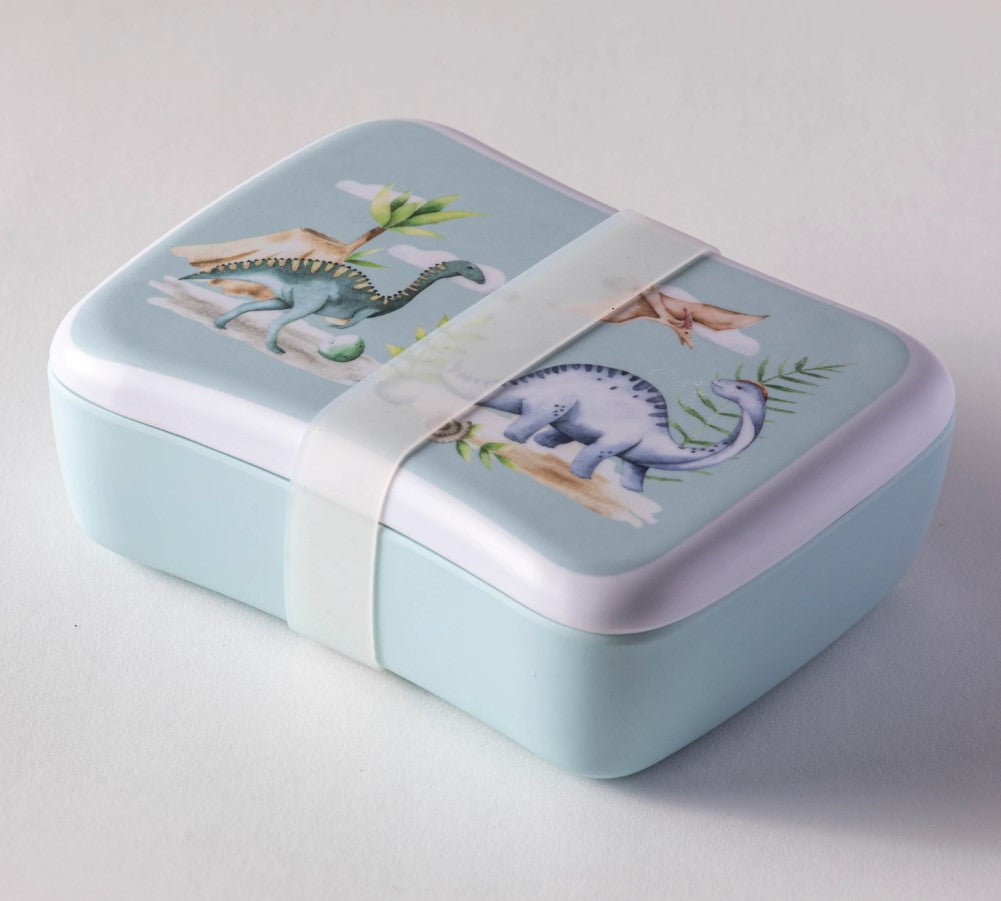 Dino Land Lunch Box