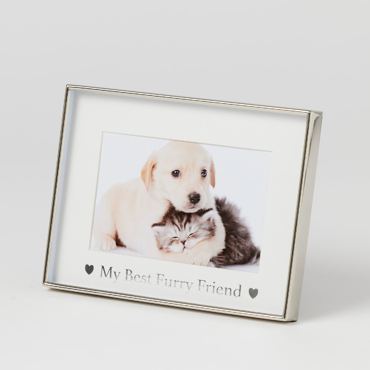 Pilbeam Living - Furry Friends 4x6" Photo Frame