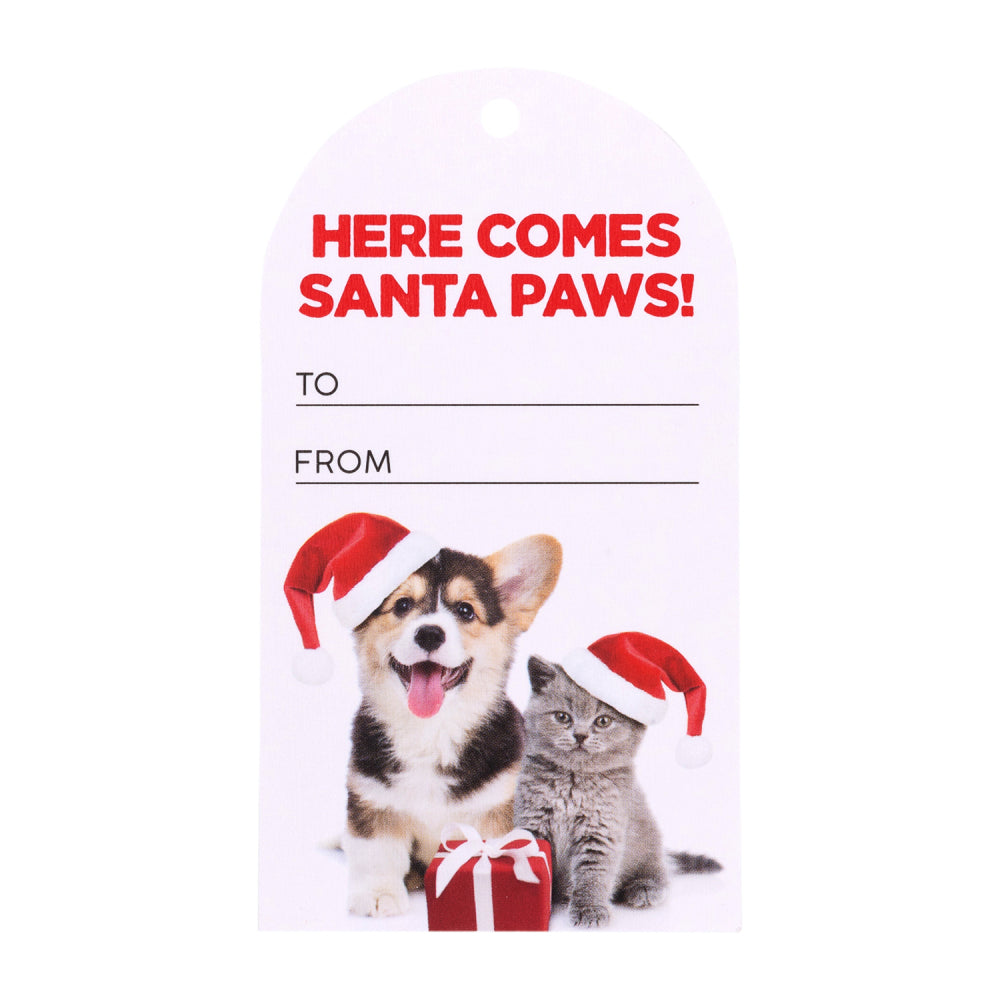 Christmas Santa Paws Set Of 6 Gift Tags