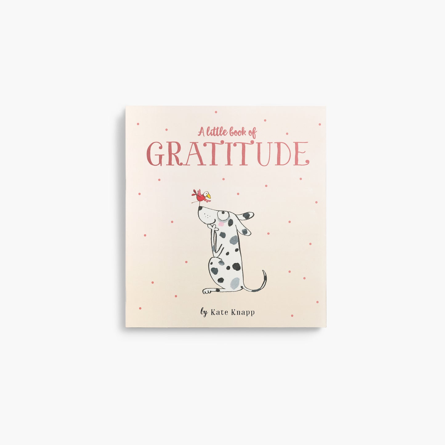 Little Book Of Gratitude - Twigseeds