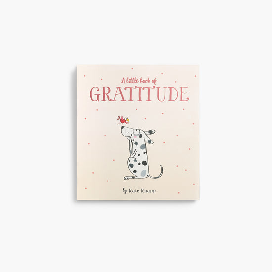 Little Book Of Gratitude - Twigseeds