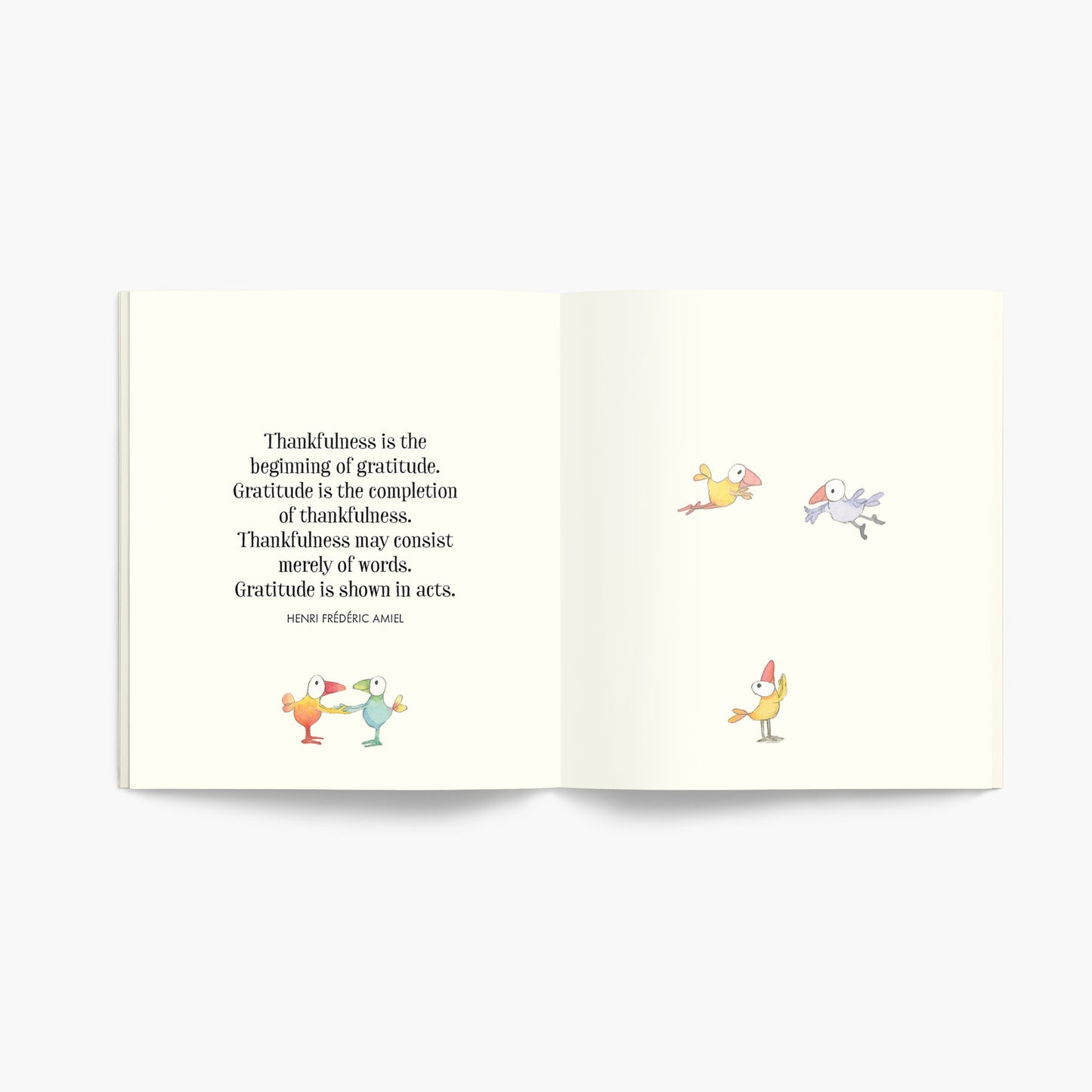 Little Book Of Gratitude - Twigseeds